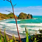 Business 3 image YOUR CHOICE TOURS Travel Agents & Brokers in Auckland City AUK