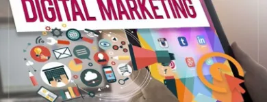 Business 2 image ADCELERATE | DIGITAL MARKETING AGENCY Web Site Development in Auckland City AUK