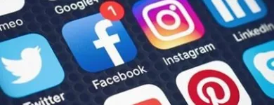 Business 5 image ADCELERATE LTD | DIGITAL MARKETING AGENCY Seo in Takapuna AUK