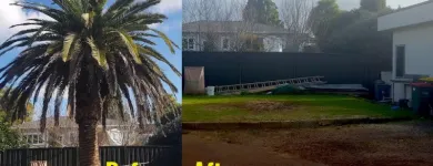 Business 1 image AUCKLAND TREE CARE BY RUSS Tree Services in Auckland City AUK