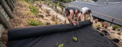 Business 2 image BACKYARD PROJECTS LTD Lawn & Turf in Christchurch CAN