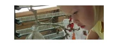 Business 4 image BEAR PARK EARLY CHILDCARE CENTRE Day Care in Auckland NTL