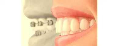 Business 4 image BIRKENHEAD FAMILY DENTAL Dentists in North Shore AUK