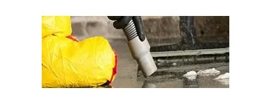 Business 1 image CARPET CLEANERS AUCKLAND Upholstery Cleaners in Auckland NTL