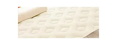 Business 3 image CARPET CLEANERS AUCKLAND Upholstery Cleaners in Auckland NTL