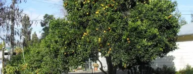 Business 1 image ECO LODGE PAKOWHAI Seasonal Work in Hastings Area HKB