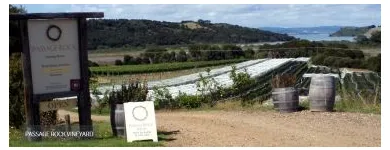 Business 1 image ENJOI WAIHEKE Tour Operators in Waiheke Islands AUK