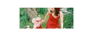 Business 1 image FAIRY ROSEBUD, THE PRINCESS FAIRY Storytelling in Napier HKB