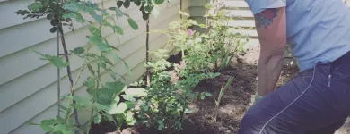Business 2 image FLORIBUNDA GARDEN CARE Gardening Services in Auckland NTL