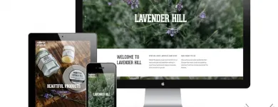 Business 3 image GEEK FREE WEB DESIGN Wordpress in Auckland NTL