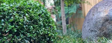 Business 2 image GREENROOM PROJECTS Landscaping in Auckland City AUK