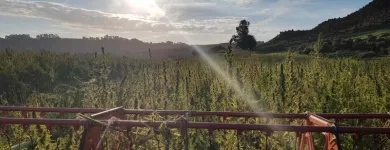 Business 2 image HEMP CONNECT General Business in Wellington City WGN