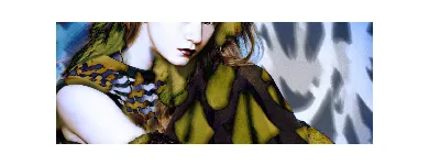 Business 8 image LISA POWERS PHOTOGRAPHIC ARTIST Wedding & Portrait Photographers in Christchurch CAN