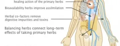 Business 7 image MAHARISHI AYURVEDA PRODUCTS NEW ZEALAND LTD Natural Remedies in Auckland NTL