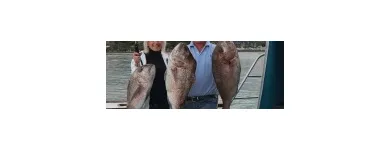 Business 3 image NEW ZEALAND FISHING SAFARIS LTD Tours & Sightseeing in Auckland City AUK