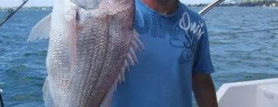 Business 4 image NEW ZEALAND FISHING SAFARIS LTD Tours & Sightseeing in Auckland City AUK