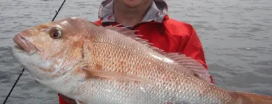 Business 7 image NEW ZEALAND FISHING SAFARIS LTD Tours & Sightseeing in Auckland City AUK