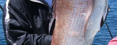 Business 8 image NEW ZEALAND FISHING SAFARIS LTD Tours & Sightseeing in Auckland City AUK