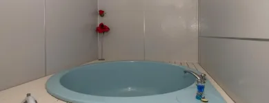 Business 1 image PALM COURT MOTOR INN Motels & Lodges in Rotorua BOP