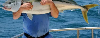 Business 1 image STEVE'S FISHING SHOP Sporting Goods in Wellington City WGN