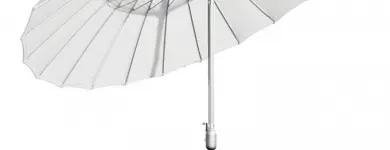 Business 4 image THE LIMIT LTD Gift Shops & Suppliers in Auckland City AUK