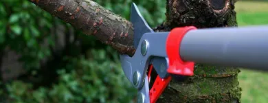 Business 5 image TREE TECH NZ Tree Services in Tauranga BOP