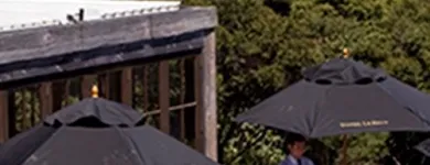 Business 1 image WAIHEKE CUSTOM WINE TOURS Wineries & Vineyards in Auckland City AUK