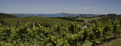 Business 4 image WAIHEKE CUSTOM WINE TOURS Wineries & Vineyards in Auckland City AUK