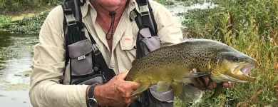 Business 3 image WILD TROUT ADVENTURES Wine Tours in Waipawa Area HKB