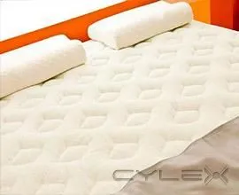 Business 3 image CARPET CLEANERS AUCKLAND