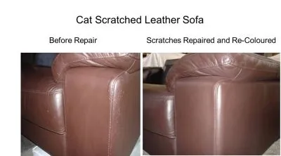 Business 15 image COLOR GLO INTERNATIONAL