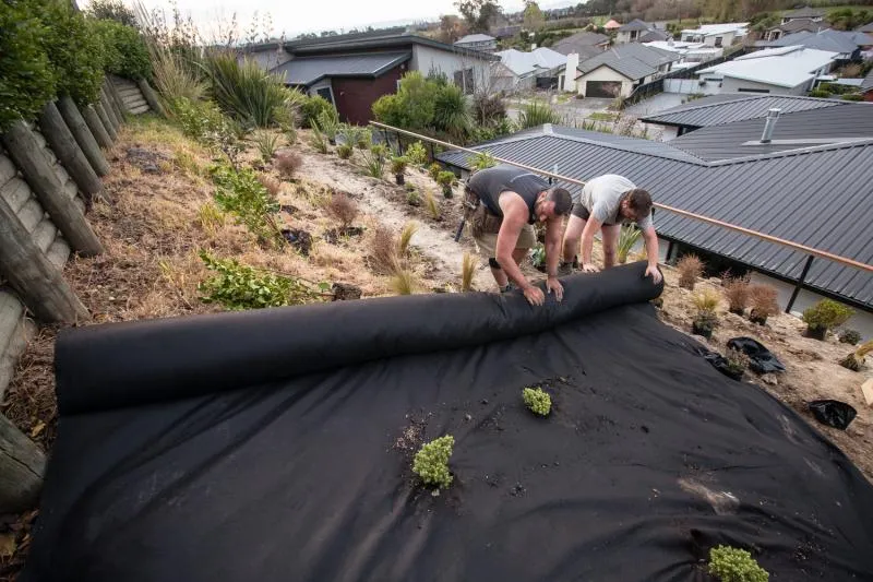 Business 2 image BACKYARD PROJECTS LTD