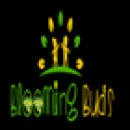 DAY CARE CENTER - BLOOMING BUDS EARLY LEARNING CENTRE Educational Services in Glen Eden AUK