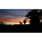 CHRISSY AND GARY CLEMENTS