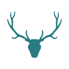 WEB ANTLER