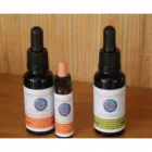 YOUTHRIVE